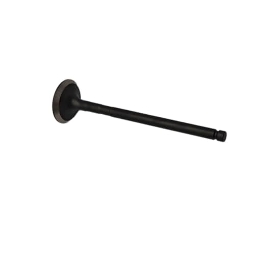 Cadena de transmisión LU017561 para solucionar tirones en tu Stels Kazuma 500