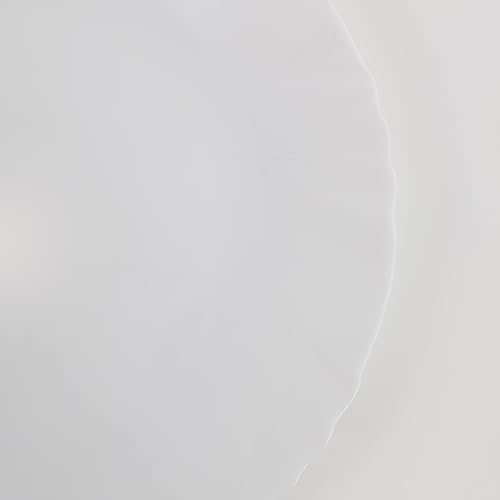 Image of Home Centre Pacific Martin Polaris Opalware Dinner Plate - 27x2cm