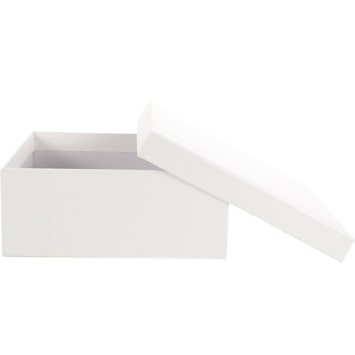 Housoutil bsO{bNX v[gp [P[X @\ z[fR[Vp[e F 20×18×8cm