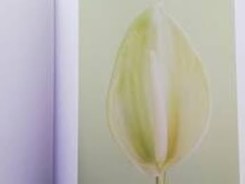 Amazon.co.jp: Ron van Dongen Bloom ロン・ファン・ドンゲン 花