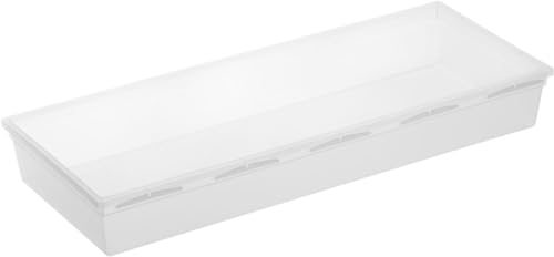 Rotho Basic Schedario Modulare Per Cassetti, Plastica (Pp) Senza Bpa, Trasparente, 38.0 X 15.0 X 5.0 Cm