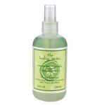 HEALING GARDEN CUCUMBER THERAPY by Coty by The Healing Garden-image-34
