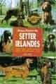Manual práctico del setter irlandés