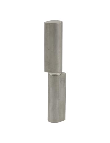 THIRARD - Bisagra de Puerta de Entrada e Interior para Soldar - Inox - Acero - Anillo de Latón - Fácil de Instalar - Fijación con Agujeros - 20 x 25 x 140 mm - Gris