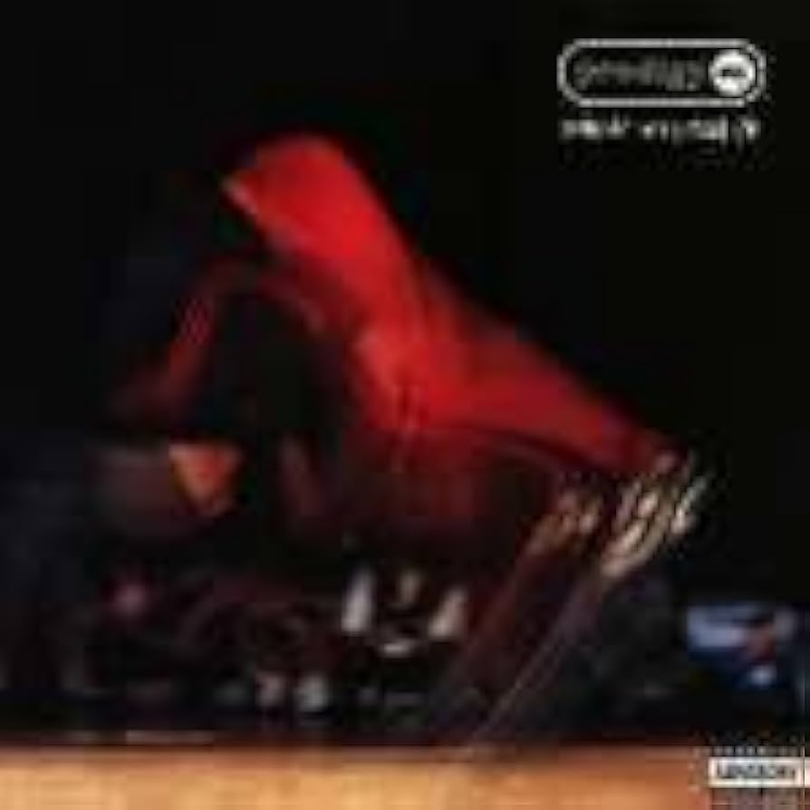 Prodigy, The - Smack My Bitch Up - XL Recordings - Prodigy