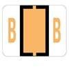 BCCS-B Alpha Color Code Labels (120 Labels PER Pack)