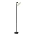 Adesso 3677-01 Swivel Floor Lamp, Black Finish