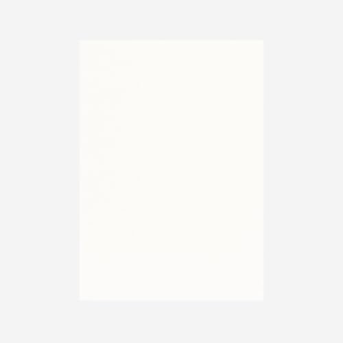 TAKEO PAPER PRODUCTS PAPER PALETTE A5中紙 波光 白 10枚入
