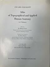 Amazon.co.jp: ペルンコップ アトラスPERNKOPF英語版Atlas of