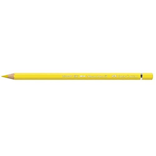 Crayon de couleur A. Durer 05
