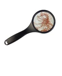 Frisches Lebendfutter – 10 Beutel (je 45 ml) | Sahawa | Gekühlter Versand im Sommer | 4X Glanzwürmer + 4X Weiße Mückenlarven + 2X Tubifex Frisches Lebendfutter – 10 Beutel (je 45 ml) | Sahawa | Gekühlter Versand im Sommer | 4X Glanzwürmer + 4X Weiße Mückenlarven + 2X Tubifex