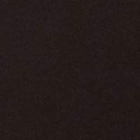 Kasper Womens Plus Button Detail Pleated Dress Pants Black 22W4