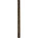 Progress Lighting P2608-62 60IN FAN DOWNROD