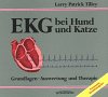 EKG bei Hund und Katze: Grundlagen, Auswertung und Therapie