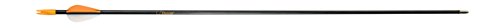 image for Bear Archery Youth Safetyglass Arrows (3 Per Card) , 26-Inch - AS38000