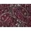 Rich Burgundy Garden Paisley
