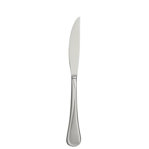 4-Piece Oneida Flatware Flight Steak Knives 18/0 Silverware Set for 4 - image 2