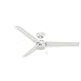 Hunter Indoor / Outdoor Ceiling Fan, with pull chain control - Cassius 52 inch, White, 59263