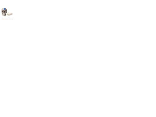 Histology: All You Need to Know