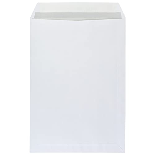 Idena 10243 - Versandtasche DIN B4, 100 g/m², haftklebend, ohne Fenster, weiß, 10 Stück (Packung mit 2)