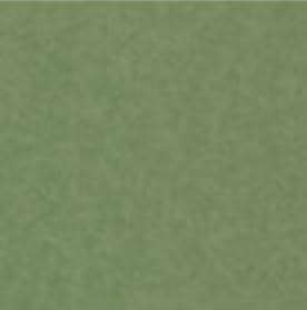 NTV 116g  A4TCY100 ɂԗ