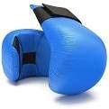 Universal Strike Boxing Training Gloves, Karate Training Gloves, Karate Gloves for Men & Women Free Size Blue (B0C553CVMX) Amazon Price History, Amazon Price Tracker