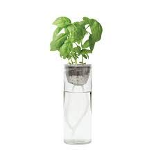Self-Watering Organic Herb Kit
