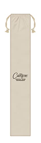 Carry-On DIGWINDBK Digital Wind Instrument thumb #4