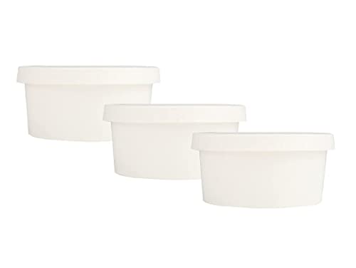 Image of [300 ml, 15 Count, White Disposable Bagasse Paper Container with Lid | Eco-Friendly Bowl /Tub for Picnic, Travel, Food Truck | Ideal for Both Hot & Cold Food