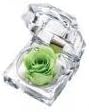 Millennium Art Jewelry Rose wz Crystal Green JRS1223