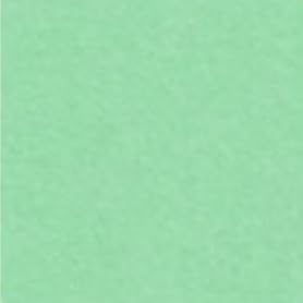 NTラシャ 116g 平米 A3サイズ50枚 あさ緑