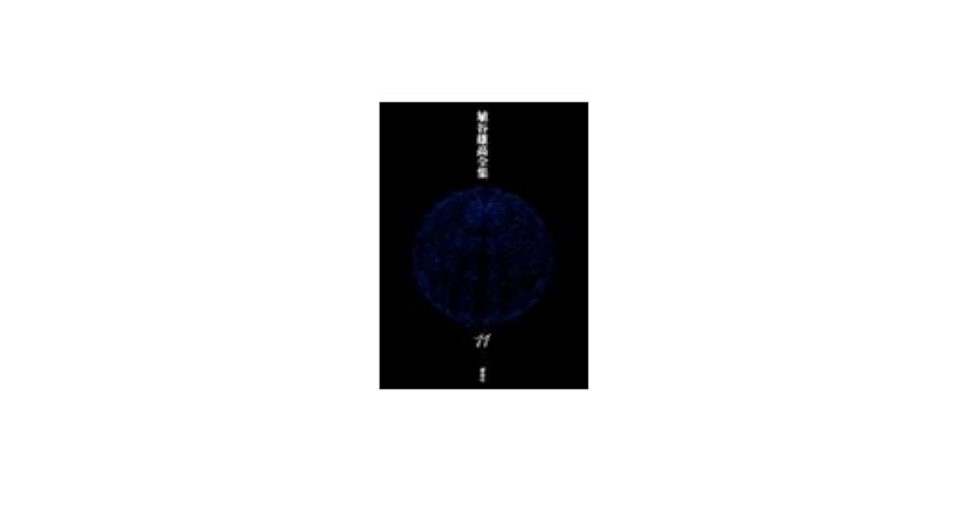 埴谷雄高全集 11 | 埴谷 雄高, 大江 健三郎 |本 | 通販 | Amazon