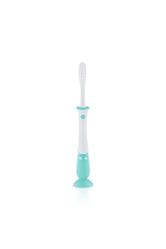 Image of Pigeon Training Toothbrush Lesson 4 Mint | Baby Oral Care Toothbrush