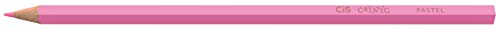CRIATIC Lápis de Cor CIS Sextavado 3,3mm c/ 12 Cores em Tons Pasteis