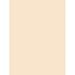 Pacon Medium Weight Tagboard, 9 x 12 Inches, Manila, 100 Sheets (5181)