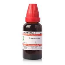 See full amazon price history chart for Schwabe Quercus Robur MT Q 30 ML Schwabe Quercus Robur MT Q 30 ML (B0CQ4LXHCG) Amazon Price History, Amazon Price Tracker