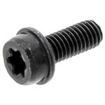 Husqvarna OEM 365, 372 XP Screw M5X12 T27