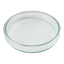 Plato de cristal para cilindro de cristal sin base, plato para velas, posavasos de cristal, diámetro exterior 13,5 cm, altura aprox. 3 cm, grosor de pared 3-4 mm