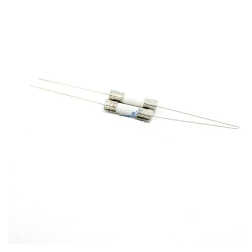 Fusible céramique 10A 5x20mm temporisé à broche pour éviter les coupures de courant