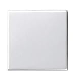 GIRA System 55 GIRA System 55 Standard E2, Reinweiß glänzend, Steckdose Schalter Rahmen Wippe (029603 Wippe Aus/Wechsel, 1 Stück)