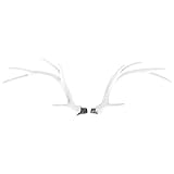 Beste für Ihre Familie und Kühlschränke.