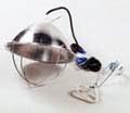 Single Lamp Poultry or Waterfowl Brooder Lamp w/Red Anti Peck Bulb