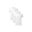 White/Navy - 3 Pack