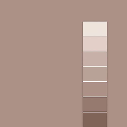 Rodda Paint CASCADIA Paint & Primer in One, Color Chip Sample, Emperor's Robe