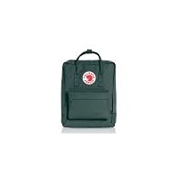 Fjällräven Rucksack オリーブグリーン Fjallraven - Kanken Classic Backpack for Everyday, Leaf