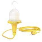 Woodhead/Molex, 1301030066, A21 Incandescent Lamp (1 Item/s)