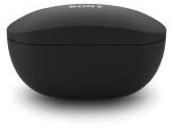 WF-SP800N (B) ブラック Amazon.com: Sony WFSP800N/B Truly Wireless Sports in-Ear Noise