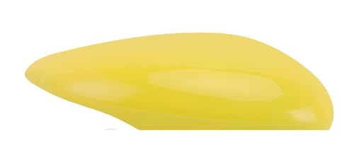 Coques rétroviseur pour Fiesta Mk7 2008-2017 couvercles de protection latéraux