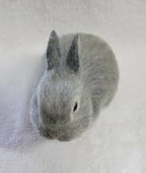 【確認用】くまさん✼布と羊毛フェルト(グレー) Amazon.co.jp: うさぎ 羊毛フェルト□□グレー うさぎ□□のり