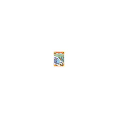 Arc-En-Ciel L'anniversaire De Kraktor 2-4 Ans (vf) (vf)